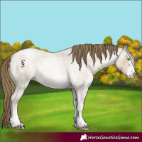 Horse Color:White Spotted Smoky Blue Roan Pearl 