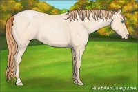 Horse Color:Buckskin Roan Pearl  and Buckskin Roan Pearl 