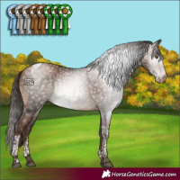 Horse Color:Gray Brown Pearl Tobiano 