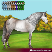 Horse Color:Gray Brown Pearl Tobiano