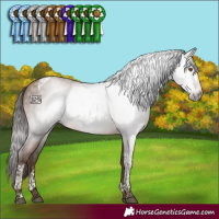 Horse Color:Gray Brown Pearl Tobiano 