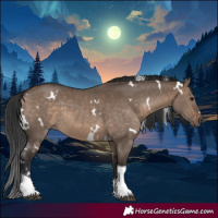 Horse Color:White Spotted Brown Dun Tobiano
