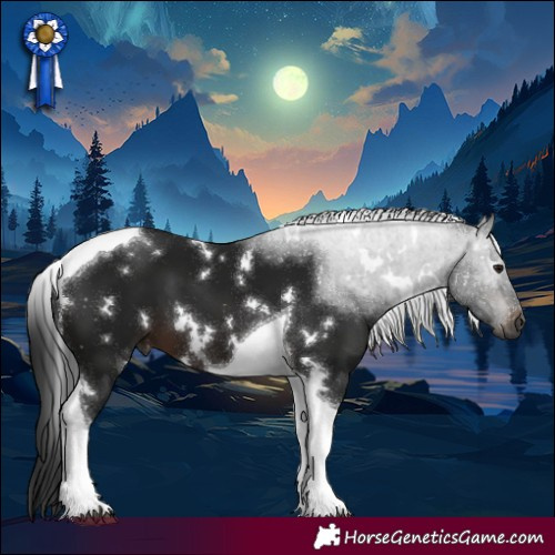 Horse Color:Gray White Spotted Brown Tobiano 