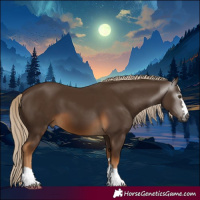 Horse Color:Gray Chocolate Palomino