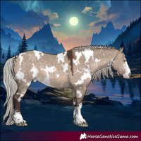 Horse Color:White Spotted Silver Brown Dun Sabino 