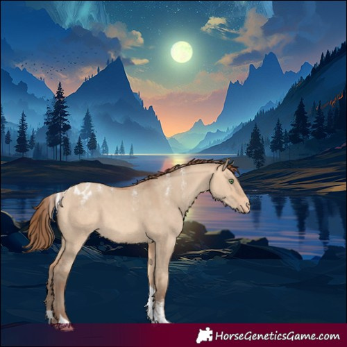 Horse Color:Powder White Amber Champagne Dun Tobiano Appaloosa Rabicano 