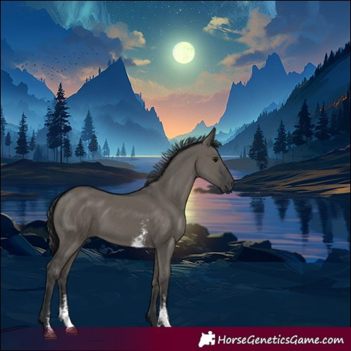 Horse Color:Grullo Sabino Rabicano 