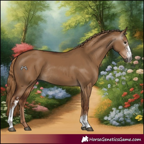 Horse Color:Gray Red Dun Sabino Rabicano 