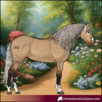 Horse Color:Gray Silver Bay Dun 