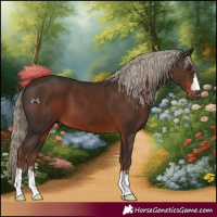 Horse Color:Liver Chestnut