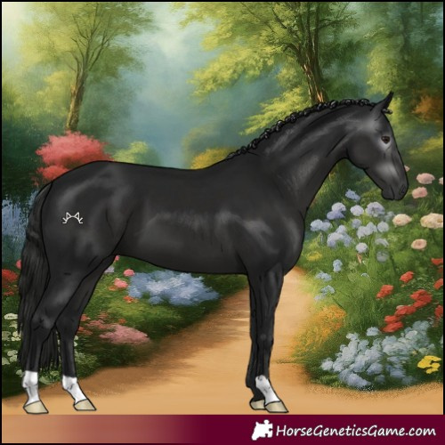 Horse Color:Gray Black 