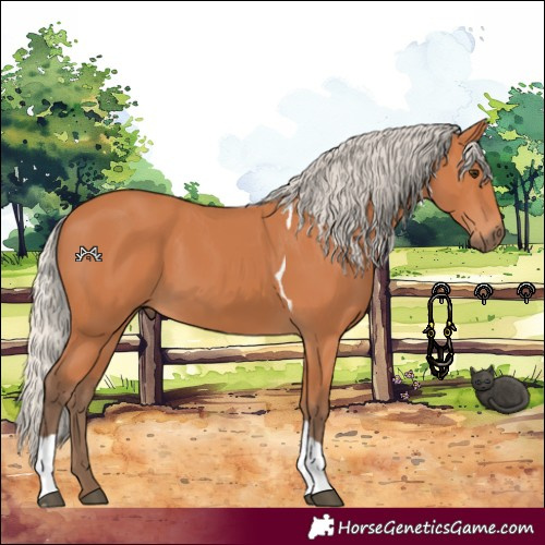 Horse Color:Silver Bay Tobiano 
