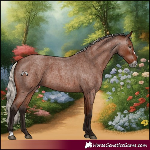Horse Color:Gray Silver Bay Roan Frame 