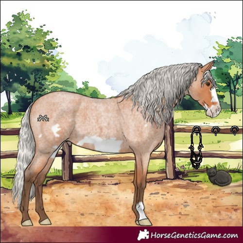 Horse Color:Silver Bay Roan Frame 