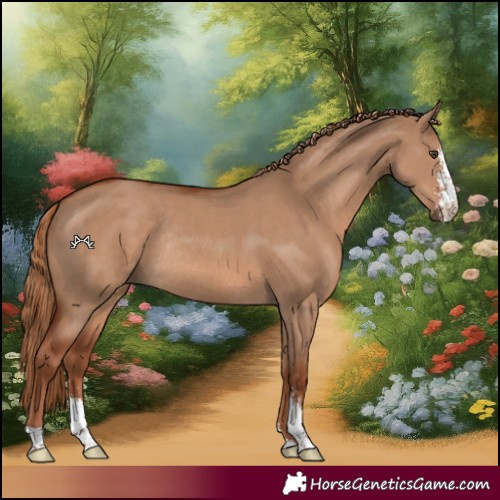 Horse Color:Red Dun Sabino Rabicano 