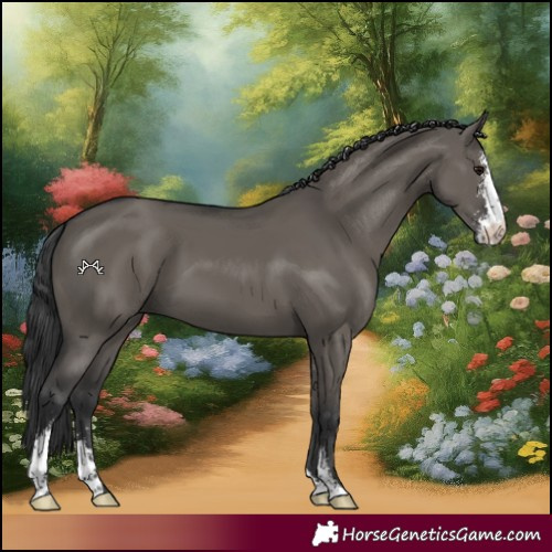 Horse Color:Grullo Sabino 