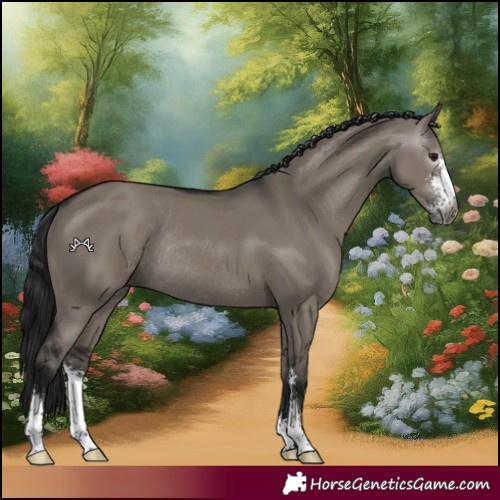 Horse Color:Gray Grullo Sabino Rabicano 