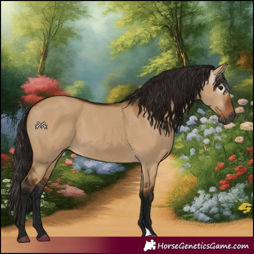Horse Color:Gray Bay Dun 