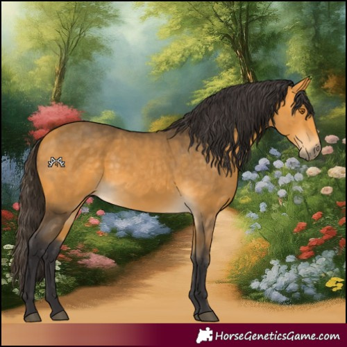 Horse Color:Buckskin 