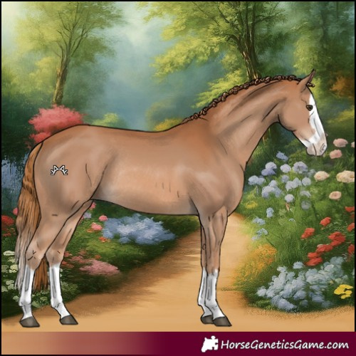 Horse Color:Chestnut Splash Rabicano 
