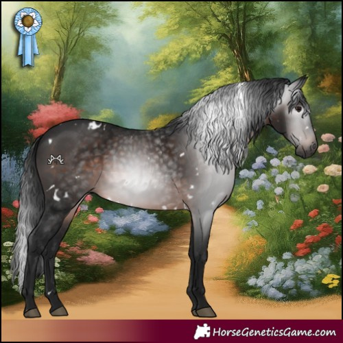 Horse Color:Gray White Spotted Brown 