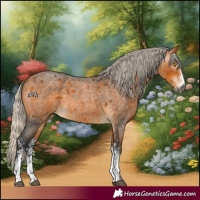Horse Color:Gray White Spotted Silver Buckskin Roan 