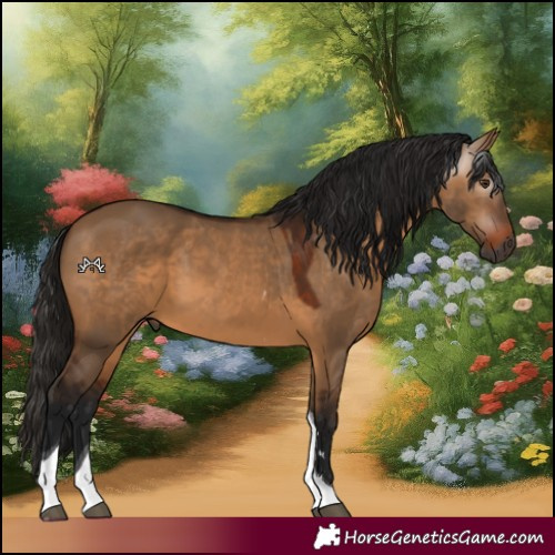 Horse Color:Gray Bay Dun Tobiano Rabicano 