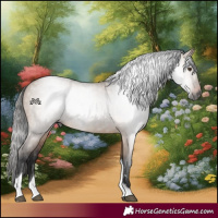 Horse Color:Gray Bay Dun Tobiano Rabicano 