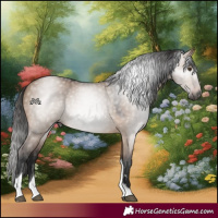 Horse Color:Gray Bay Dun Tobiano Rabicano 