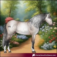 Horse Color:Gray Bay Dun Tobiano Rabicano 