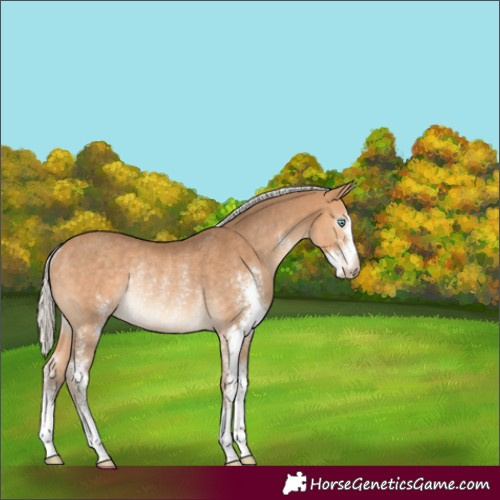 Horse Color:Gray Silver Perlino Sabino Rabicano 
