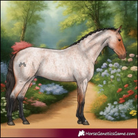Horse Color:Bay Roan 