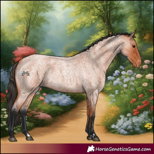 Horse Color:Bay Roan Varnish 