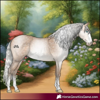 Horse Color:Gray Silver Perlino 