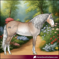 Horse Color:Gray Silver Perlino 