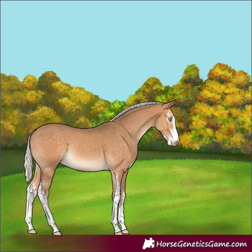 Horse Color:Gray Silver Perlino Sabino 