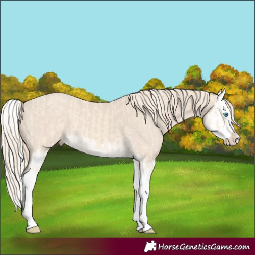 Horse Color:Cremello Splash  and Smoky Creme Splash 