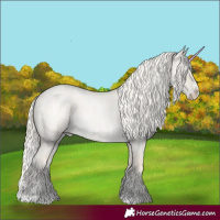 Horse Color:Cremello Roan Dun Splash  and Cremello Roan Dun Splash 