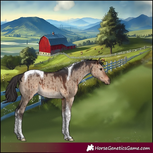 Horse Color:Brown Dun Tobiano Brindle 