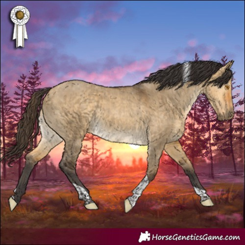 Horse Color:Buckskin Dun Tobiano Brindle 