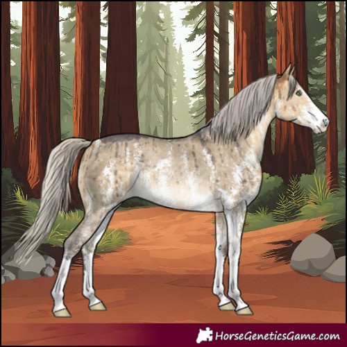 Horse Color:Silver Buckskin Dun Sabino Rabicano Brindle 