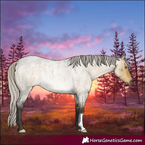 Horse Color:Silver Buckskin Roan Dun Rabicano Brindle 