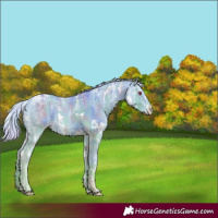 Horse Color:Nacre White Spotted Chocolate Silver Perlino Chinchilla Ice Rabicano 