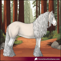 Horse Color:Cremello Splash  and Cremello Splash 