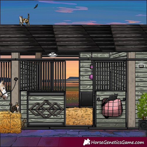 Horse Color:Gray Red Dun Rabicano 