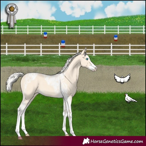 Horse Color:Cremello Splash Tobiano  and Cremello Splash Tobiano 