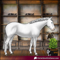 Horse Color:Liver Chestnut Sabino Splash Snowflake Varnish