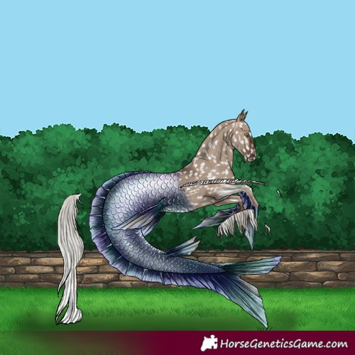 Horse Color:Silver Brown Dun Tobiano Appaloosa Rabicano 
