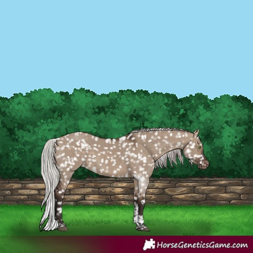 Horse Color:Silver Brown Dun Tobiano Snowflake Varnish Rabicano 