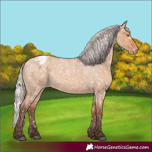 Horse Color:Silver Bay Roan Dun Appaloosa Rabicano 